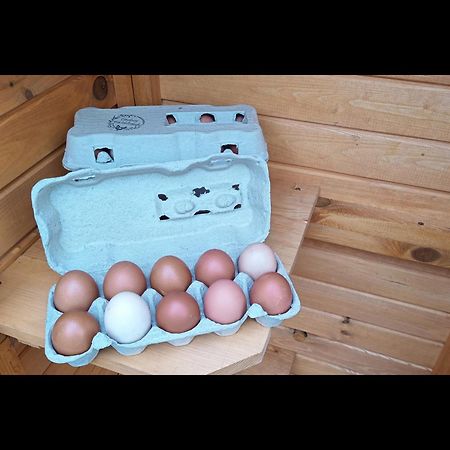 Neu! Landhaus Ostfriesenruhe Berumbur 외부 사진
