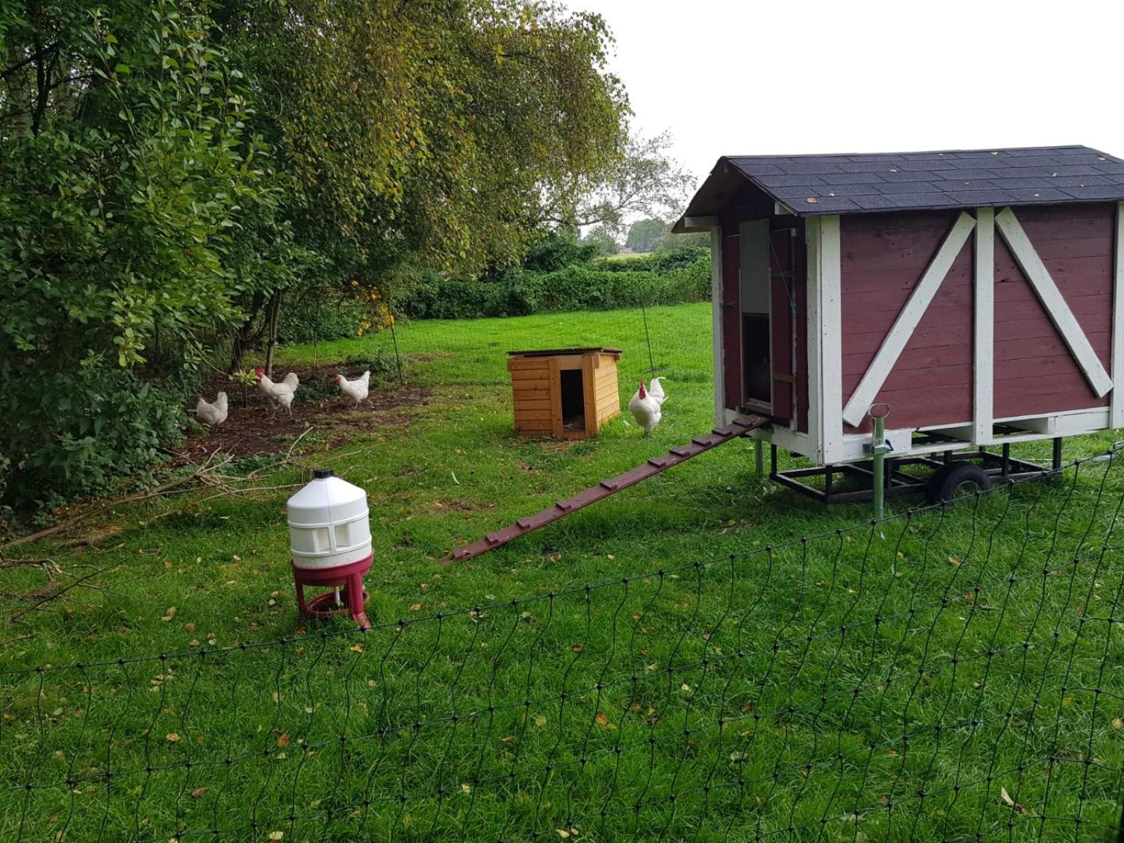 Neu! Landhaus Ostfriesenruhe Berumbur 외부 사진