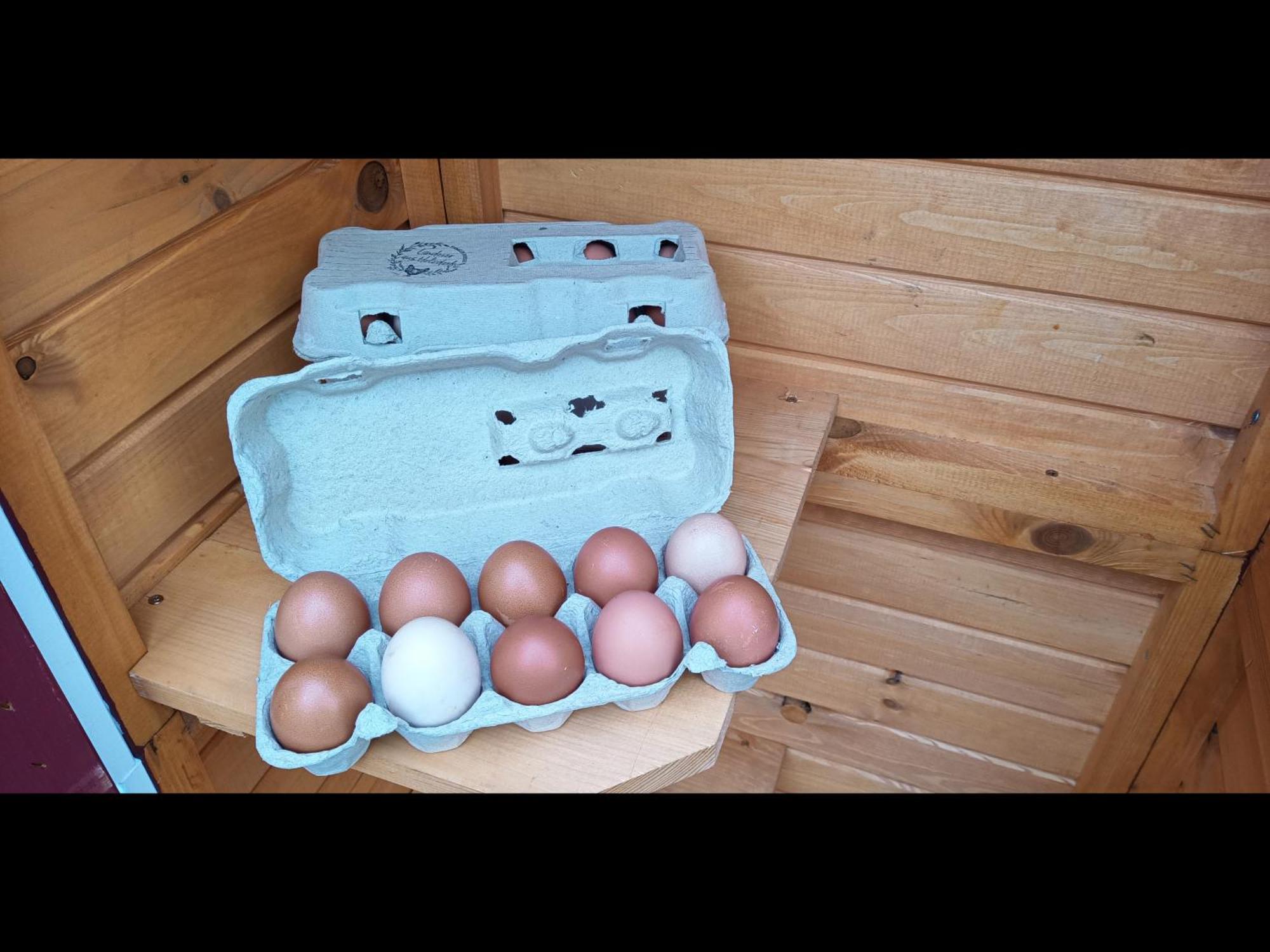 Neu! Landhaus Ostfriesenruhe Berumbur 외부 사진